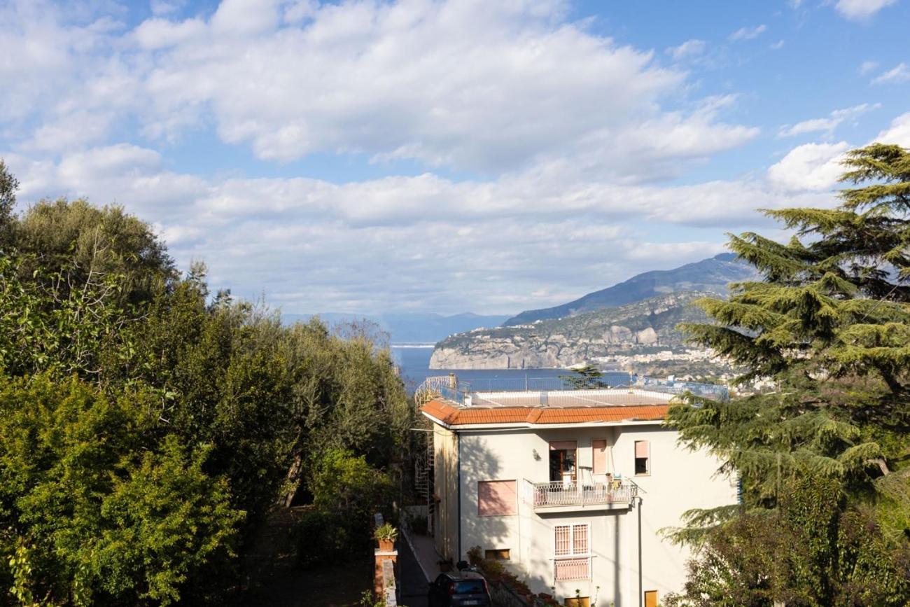 Estate4home - Louise Sorrento